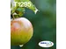 Multipack 4-colours T129 EasyMail