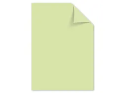 Papier Kangaro A4 160grs lichtgroen pak 50 vel