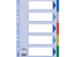 Esselte Tabbladen 5 Tabs