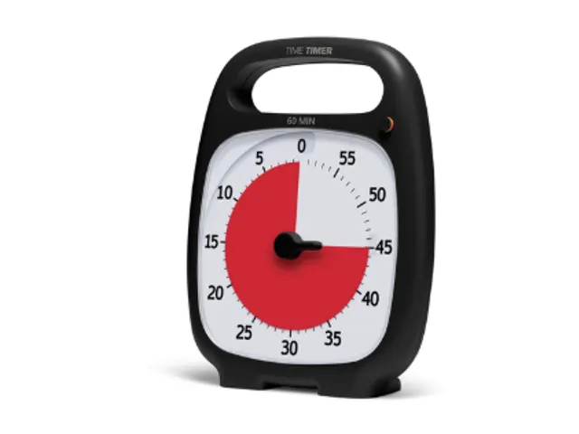 Time Timer plus black