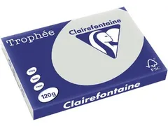 Trophée Pastel gekleurd papier A3 120 gram 250vel Lichtgrijs