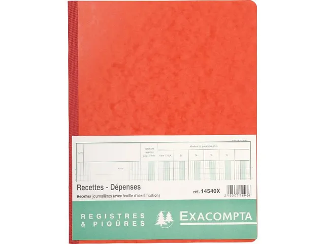 Piqure 32x25 Recette s-Depenses 80 bl