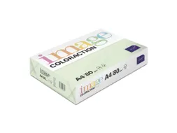 Kopieerpapier Jungle Lichtgroen A4 80 Gram 500 Vel