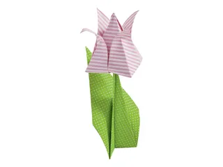 Vouwblaadjes Folia 80gr 20x20cm 50 vel 2-zijdig 10 basics designs - 5