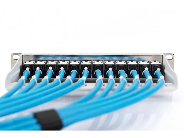 Modulair Patchpaneel 12-poorts Blanco 1U 254mm 10'' Rackmontage Grijs