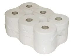 Toiletpapier Euro Products 240018 Mini jumbo 2-laags 180m 12rol