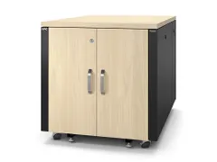 APC NetShelter CX AR4012IA - 12U, Geluiddempend en geventileerd 19 inc