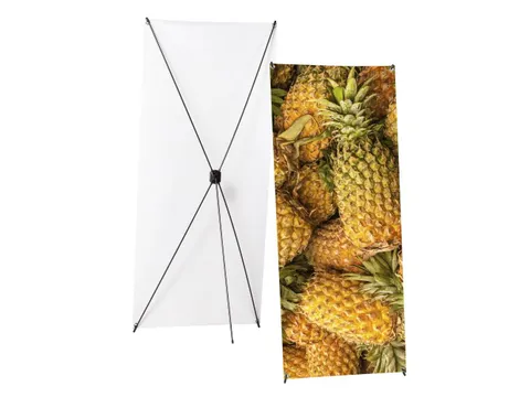 Frame X-Banner Budget 80x200cm Zwart