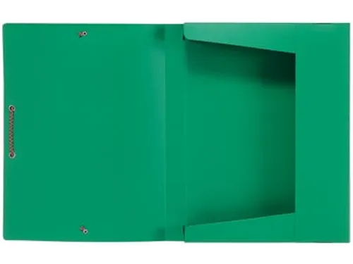 Elastobox Groen 25x33cm 30mm PP