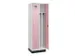 locker voor scheiding van kleding,HxBxD 1950x600x500mm,2vak