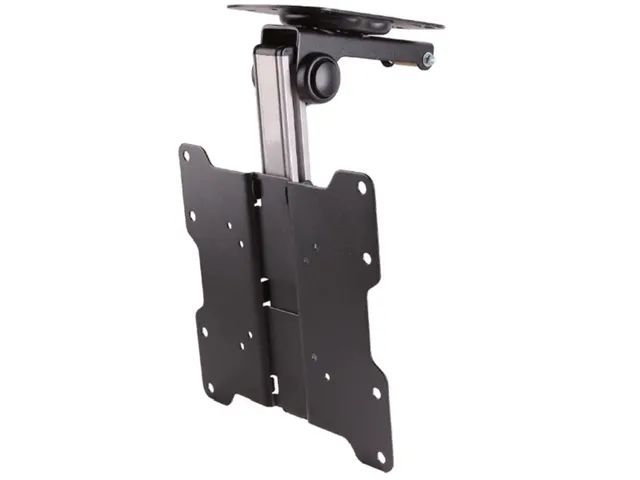 Neomounts Fpma-c 020 Black Plafondsteun