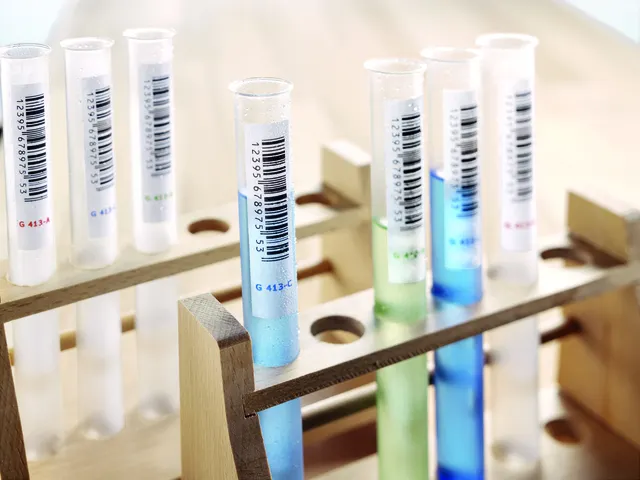 HERMA 10910 Power Etiketten A4 210x148mm Wit 50 stuks