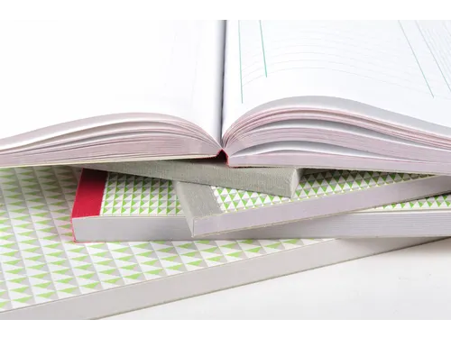 Leveringenboek Exacompta Manifold dupli 50vel Nl Fr