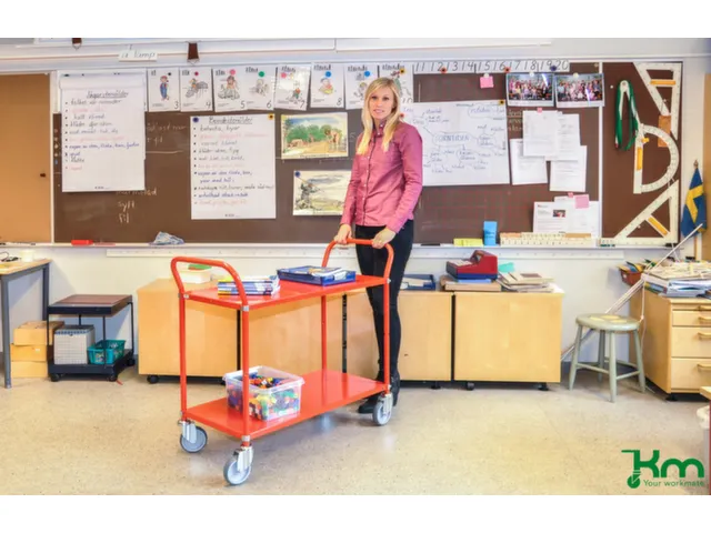 etagewagen,draagverm. 250kg,2etage(s),laadvl. LxB 900x440mm