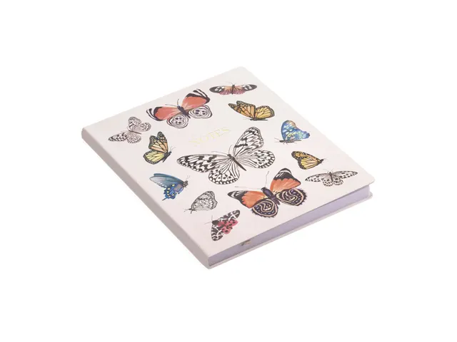 Carnet de notes Butterflies ligné 20x25cm