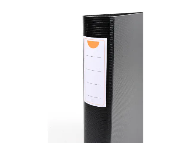 Ringmap PP Exabinder A4+ 4D-R 30mm zwar