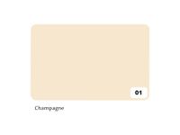 Fotokarton Folia 2-zijdig 50x70cm 300gr nr01 champagne