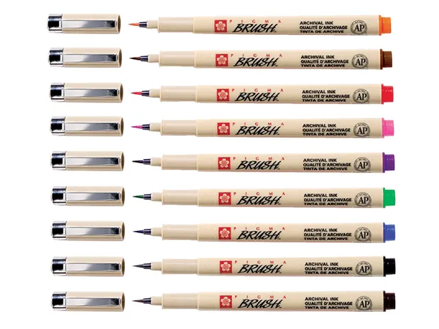 Viltstift met brushpen Bruynzeel Sakura Pigma etui 9 kleuren assorti
