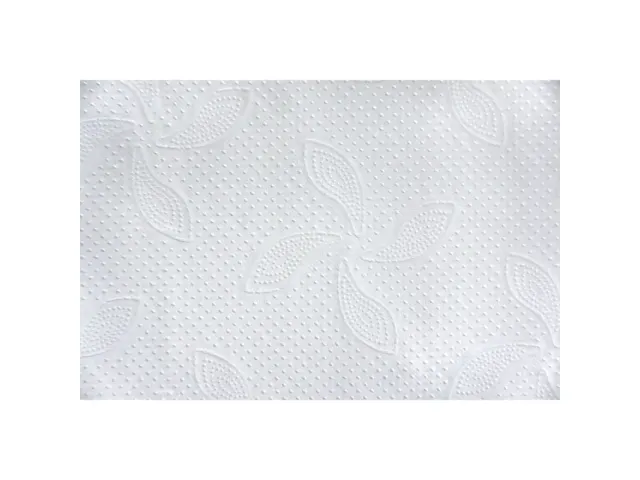 Handdoek Katrin 61570 z-vouw 2-laags 25x160 vel wit Pallet