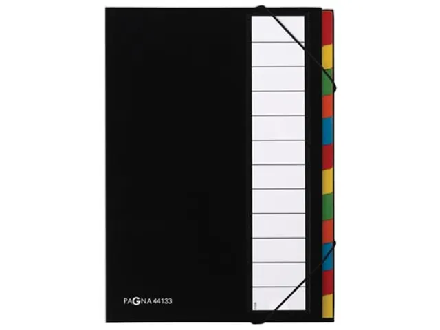 sorteermap voor ft A4 12 vaks zwart karton