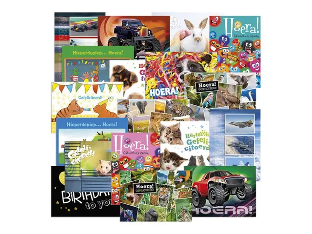 Beloningsposter-kaart De Stulp felicitatie A4 assorti