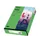 Inapa Tecno colors Gekleurd papier A4 Intens Groen 80 gram 500 vel