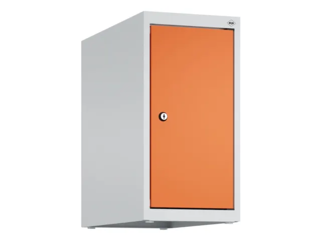 opzetkast,v. locker,1vak.,vak B 250mm,HxBxD 500x250x500mm,vleugeldeur