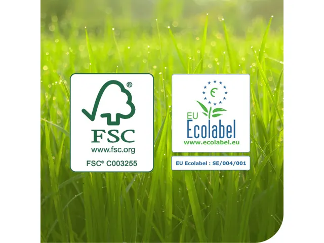 Tork 120269 Extra Absorberende Keukenrol Premium 2-laags 2 rollen