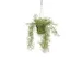 Kunstplant Mica Rhipsalis hangend in pot groen 40x20cm