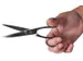 Schaar 15 Cm, Verchroomd, Symmetrische Ogen
