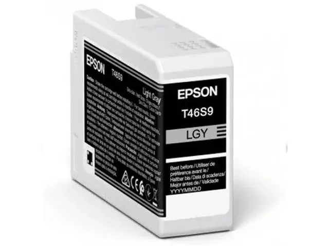 Epson Origineel Inktcartridge UltraChrome Pro 10 C13T46S900 Licht grij