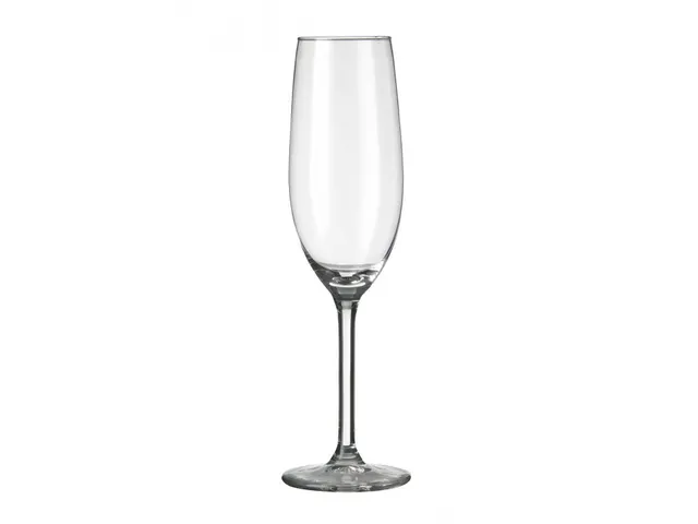 Royal Leerdam l'Esprit du Vin Champagneglas Flute 21cl (6 stuks)