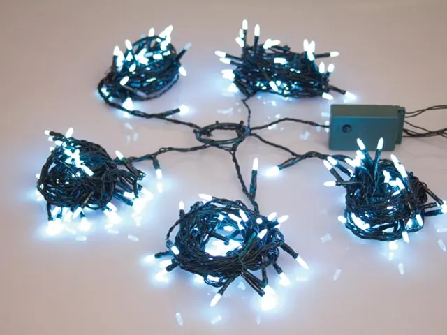 Speed Light LED - 220 Leds - WIT - Groene Kabel - Modulator - 24 V (VO