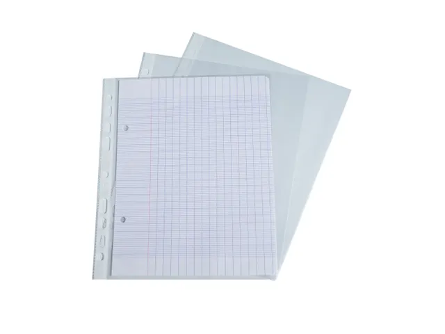 Sachet de 10 pochettes perforées polypropylène grainé format écoli