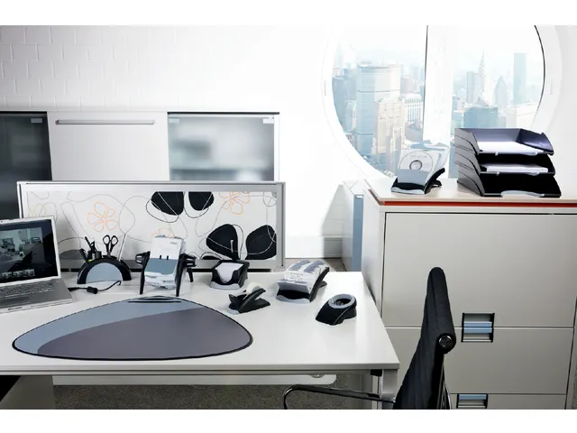 Visitekaartmolen Durable Vegas 2417 72x104mm 400 kaartjes Zwart