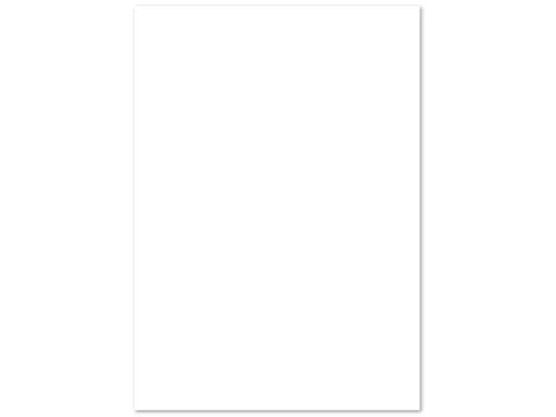 Kopieerpapier PaperWise A3 Wit 80 Gram