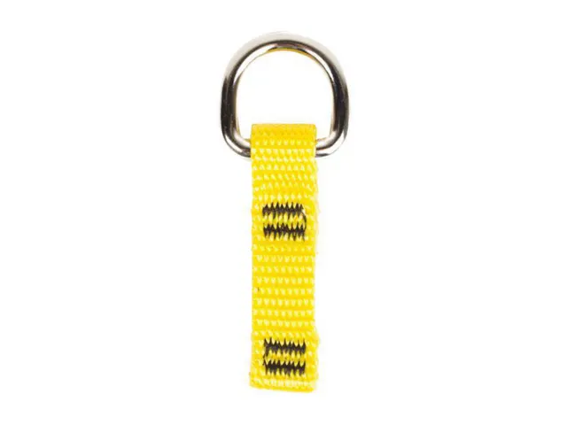 Msa 1500007 D-Ring Voor Tools pak à 10 stuks