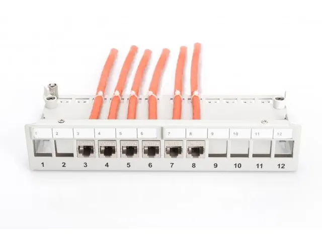 Modulair Desktop Patchpaneel SOHO Afgeschermd 12-poorts Grijs