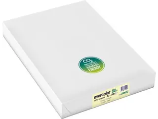 Evercolor gekleurd Gerecycleerd Papier A3 Geel - 2