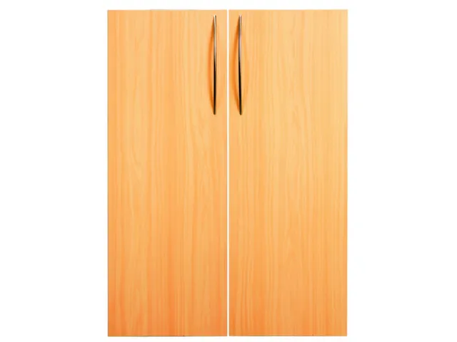 dubbele vleugeldeur,HxB 1144x800mm,m. volledig metalen scharnieren