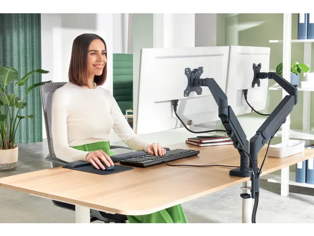 Bras double écran Leitz Ergo Faible encombrement
