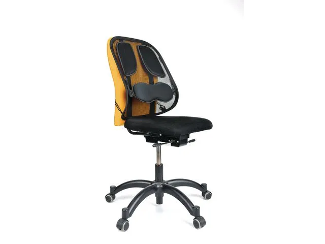 Support dorsal Professional