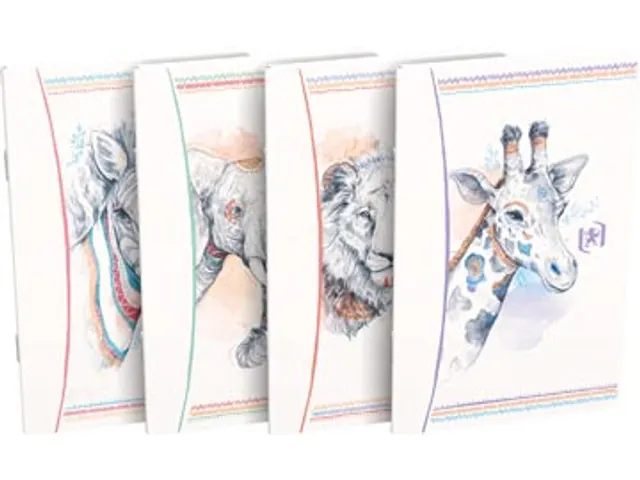 Boho Spirit carnet de notes, ft 9 x 14 cm, 60 pages, ligné, couleurs