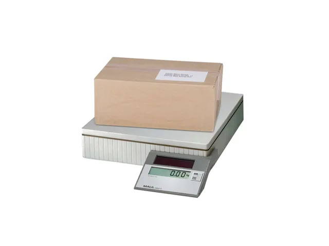 Pakketweger MAUL Parcel S 30x30cm solar 50kg