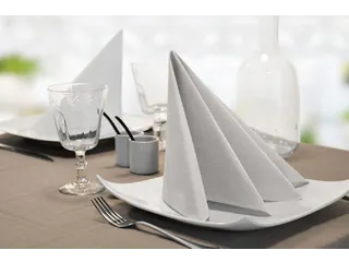 Servetten Tork 477554 Dinner 2-laags 39x39cm wit 1/4 vouw 150st. - 2