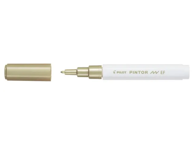 Paintmarker Pilot Pintor Celebrations Extra Fijne punt Wit Goud Zilver
