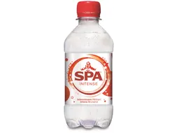 Water Intense Fles 33 Cl Pak 24 Stuks