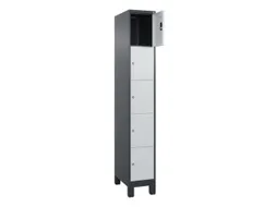 lockerkast,HxBxD 1950x300x500mm,1x5vakken,vak B 300mm,cil.-slot,voeten