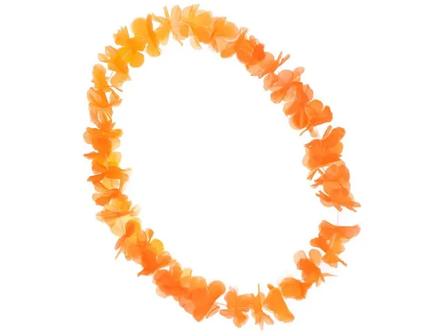Oranje hawaiikrans