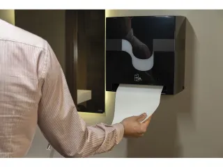 Voordeelbundel Celtex handdoekpapier met gratis Megamini E-Control dis - 2